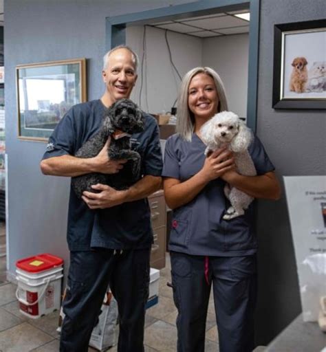 village vet of lewiston|lewiston small animal hospital.
